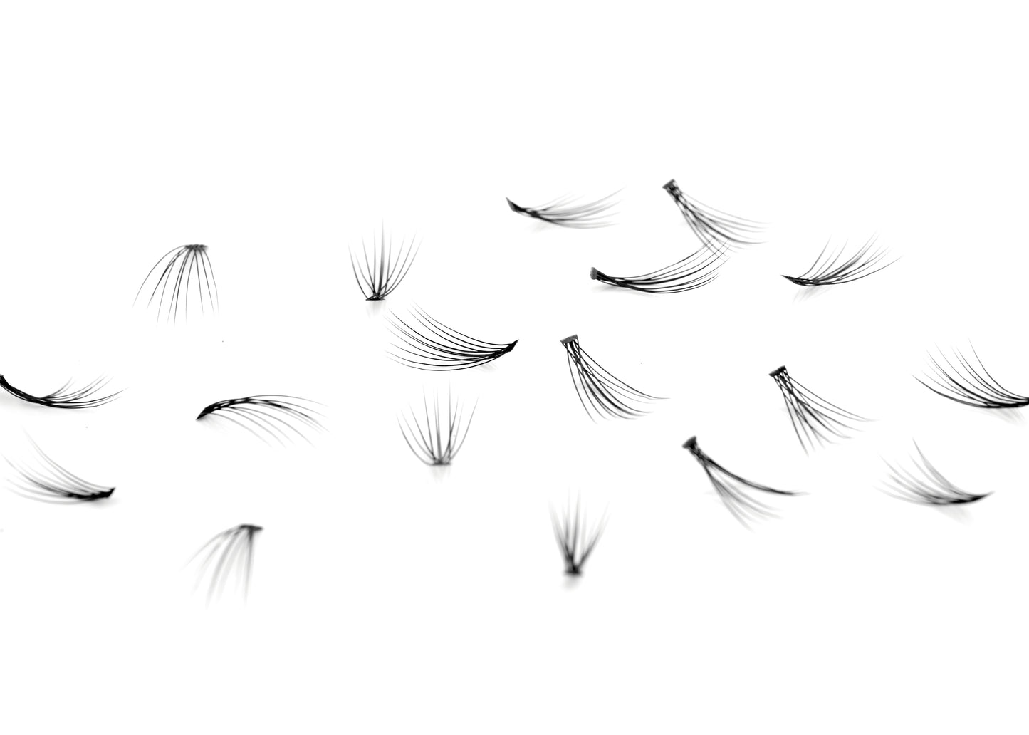 Individual Lash Book - 240 pack